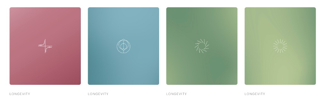 Still life: палитра dusty rose, sage и slate teal, порог зала без тренировки: телу reset, не ещё один подход