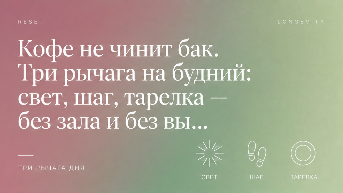 Спокойный градиент dusty rose, sage и pistachio: три тонкие белые иконки — солнце, следы шагов и тарелка; заголовок «ТРИ РЫЧАГА ДНЯ»